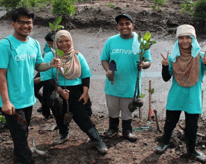 cenviro-employee-mangrove-tree-planting-programme-2023-12-09-010