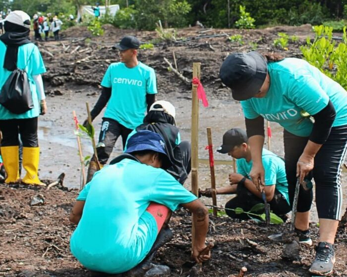 cenviro-employee-mangrove-tree-planting-programme-2023-12-09-012