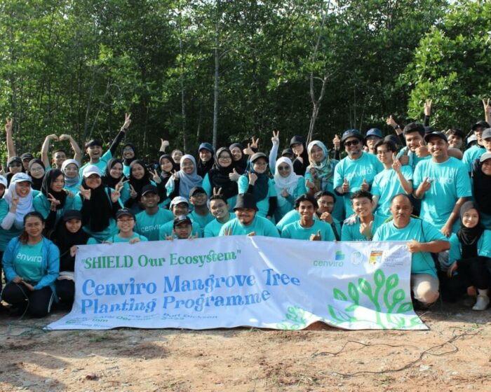 cenviro-employee-mangrove-tree-planting-programme-2023-12-09-02