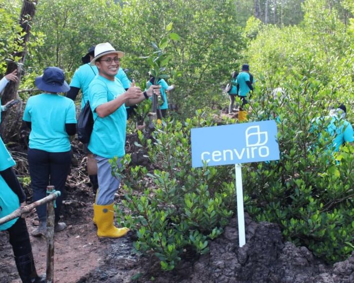 cenviro-employee-mangrove-tree-planting-programme-2023-12-09-05