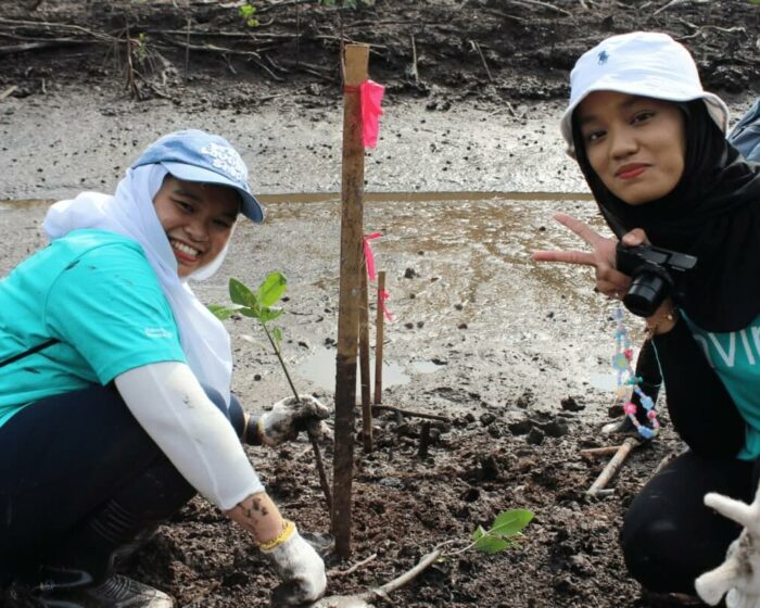 cenviro-employee-mangrove-tree-planting-programme-2023-12-09-06