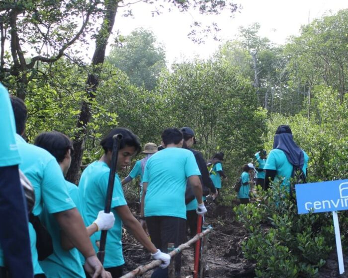 cenviro-employee-mangrove-tree-planting-programme-2023-12-09-07