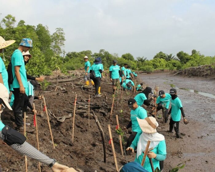 cenviro-employee-mangrove-tree-planting-programme-2023-12-09-08
