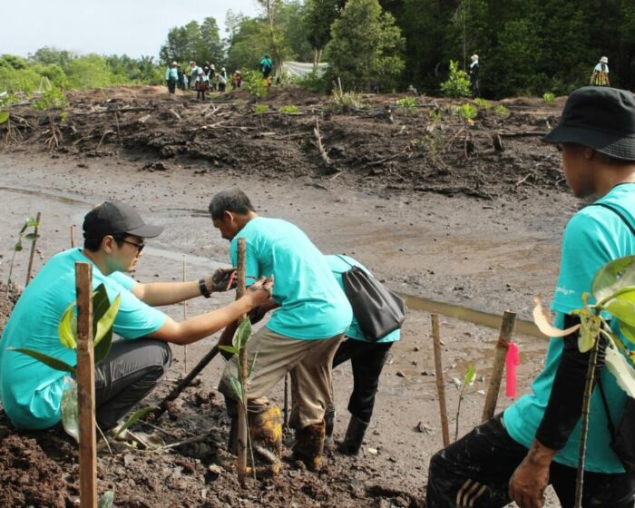 cenviro-employee-mangrove-tree-planting-programme-2023-12-09-09
